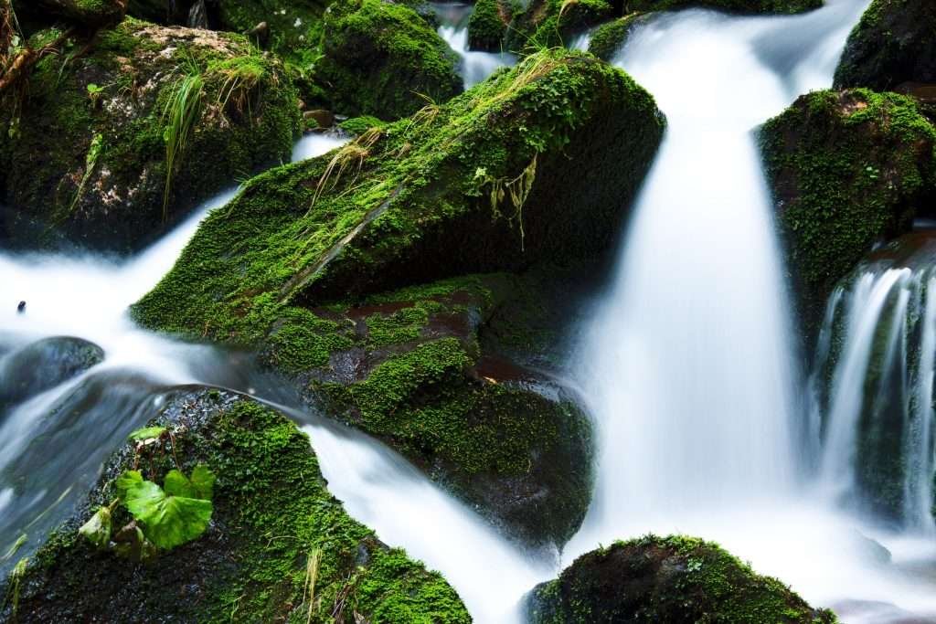 nature