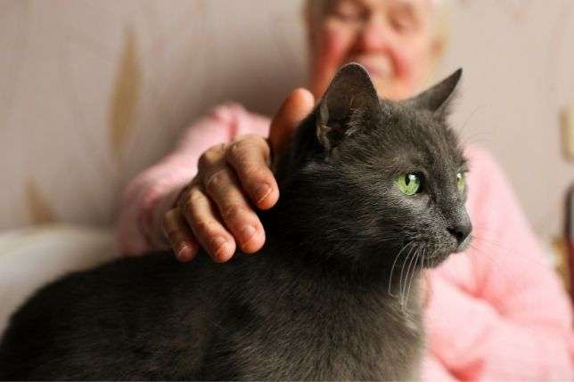 Seniors-Well-Being-image1