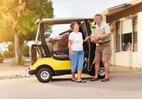 First Class Carts - 341201 - older-couple-cart - image1