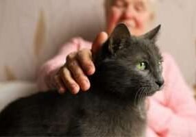 Seniors-Well-Being-image1