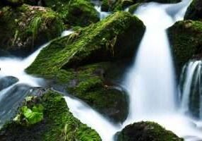 nature